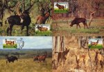 WWF Angola 1990 Beautiful Maxi Cards Giant Sable Antelope