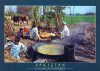 Pakistan Beautiful Postcard Village Life Of Punjab