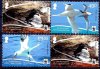 WWF Ascension Island 2011 Stamps Red Billed Tropic Bird MNH