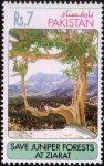 Pakistan Stamps 1993 Juniper Forests At Ziarat