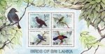 Birds Stamps