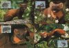 WWF Eire 1992 Beautiful Maxi Cards Pine Marten