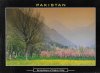 Pakistan Beautiful Postcard Spring Season Of Kaghan Valley