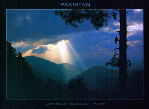Pakistan Beautiful Postcard Winter Scene Thandiani - Click Image to Close