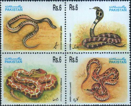 Snakes In Pakistan