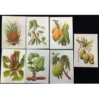 S.Tome Thomas 1983 Medicinal Plants Maxi Cards Unused