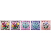 Afghanistan 1964 Stamps Teachers Day Flowers