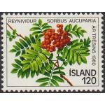 Iceland 1980 Stamp Year Of Tree
