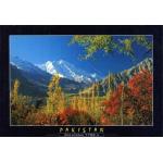 Pakistan Beautiful Postcard Mount Rakaposhi 7788 M
