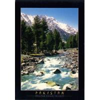 Pakistan Beautiful Postcard Nalter Valley