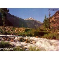 Pakistan Beautiful Postcard Naran