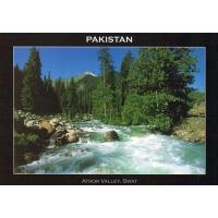Pakistan Beautiful Postcard Atror Valley