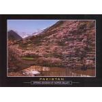 Pakistan Beautiful Postcard Hoper Valley