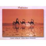 Pakistan Beautiful Postcard Clifton Karachi