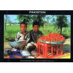 Pakistan Beautiful Postcard Strawberry Sellers In Swat