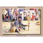 Pakistan Beautiful Postcard Typical Roadside Monkey Show