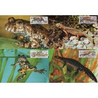 WWF Czechoslovakia 1989 Maxi Cards Amphibians Toads & Newts