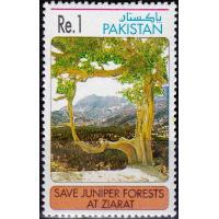 Pakistan Stamps 1995 Juniper Forest at Ziarat
