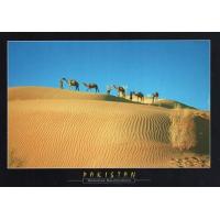 Pakistan Beautiful Postcard Cholistan Desert ..