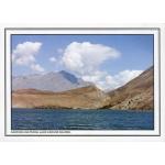 Pakistan Beautiful Postcard Deosai Plain Wildlife
