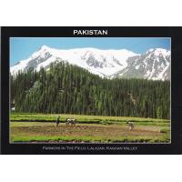 Pakistan Beautiful Postcard Farmers In Kaghan Valley