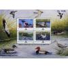 India Stamps 2000 Presentation Pack Migratory Birds Of India