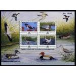 India 2000 Stamps S/Sheet Migratory Birds Ducks
