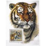 Guinea 2002 Stamps Wild Cats Snow Leopard MNH