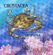 Tanzania 1994 S/Sheet Crustacea Crab MNH