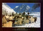 Pakistan Beautiful Postcard Shimshal Valley