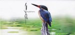 Singapore 2017 Stamps Presentation Pack Kingfisher