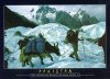 Pakistan Beautiful Postcard Yak Safari On Batura Glacier