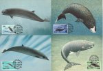 WWF Foroyar Maxi Cards 1990 Bottlenose Beaked Bowhead Whales