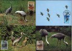 WWF Korea 1988 Maxi Cards White Naped Cranes