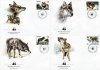 WWF Poland 1985 Beautiful Fdc Endangered Wolves