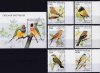 Togo 1996 S/Sheet & Stamps Exotic Birds
