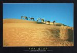 Pakistan Beautiful Postcard Cholistan Desert ..
