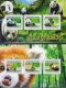 Guinee 2011 S/Sheet Stamp Panda Bear MNH