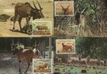WWF Mali 1986 Beautiful Maxi Cards Western Giant Eland