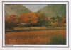 Pakistan Beautiful Postcard Nomal Valley