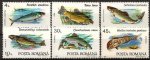 Romania 1997 Stamps Marine Life Fishes
