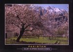 Pakistan Beautiful Postcard Hunza Valley
