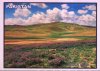 Pakistan Beautiful Postcard Deosai Plain