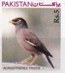 Pakistan Stamp 1976 Bird Acridotheres Unissued MNH
