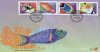 South Africa 2000 Fdcs Fishes