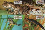 WWF Czechoslovakia 1989 Maxi Cards Amphibians Toads & Newts