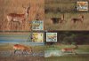 WWF Botswana 1988 Beautiful Maxi Cards Red Lechwe