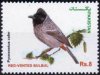 Pakistan Stamps 2013 Birds Of Pakistan Series Red Vented Bulbul