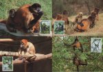 WWF Honduras 1990 Beautiful Maxi Cards Spider Monkey