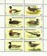Guinee 1979 Stamps Birds Ducks